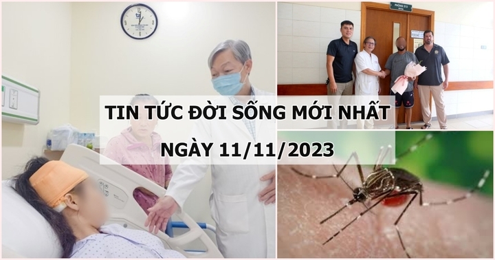 Tin tức đời sống mới nhất ngày 11/11: Người phụ nữ bị nứt não hiếm gặp, gần 30 năm mới phát hiện