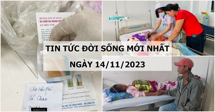 Tin tức đời sống mới nhất ngày 14/11: Phát hiện mẫu cá đặc sản dương tính với chất cấm tại Quảng Bình