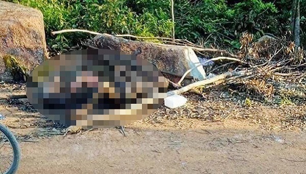 Phát hiện thi thể người đàn ông chết cháy trong nghĩa trang