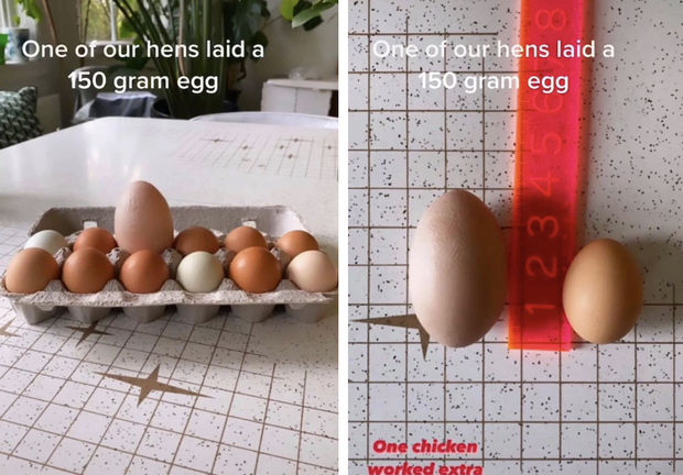 Đập quả trứng to gấp 3 lần bình thường, cô gái thảng thốt vì cảnh tượng cực hiếm gặp