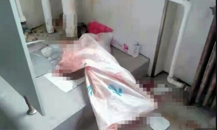 Nữ sinh viên năm hai 