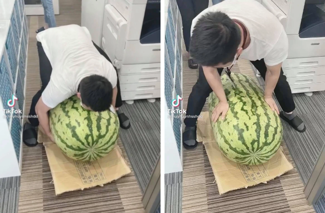 Cả văn phòng ngã ngửa trước quả dưa hấu nặng 95kg, thấy ruột bên trong chỉ biết câm nín