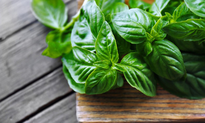 Mách bạn những loại thảo mộc tốt cho người huyết áp cao