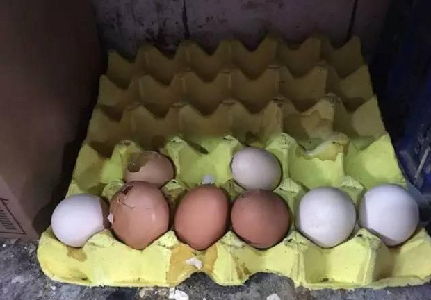 Bé gái làm vỡ vỉ trứng bị nhân viên siêu thị bắt đền gấp 20 lần, ông nội chỉ nói 1 câu làm cục diện đảo chiều