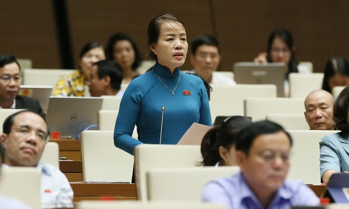 “Một số địa phương lựa chọn SGK không quan tâm đến ý kiến của cơ sở”