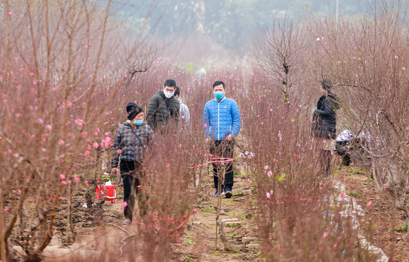 Miền Bắc chuẩn bị đón liên tiếp 2 đợt không khí lạnh mạnh trước Tết Nguyên đán