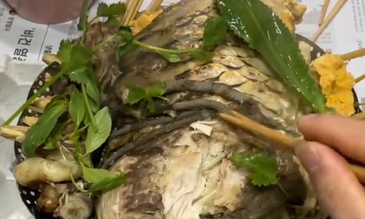 Clip: Gắp chun quần từ món cá hấp, chàng trai giữ thái độ bình thản khiến dân tình sửng sốt