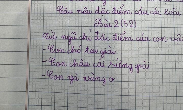 Làm bài tập đặt câu nêu đặc điểm của con vật, bé gái tiểu học khiến dân mạng 