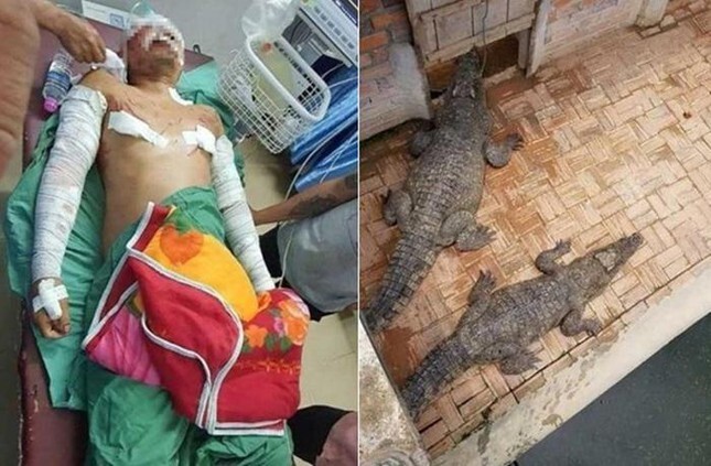 Đi vệ sinh lúc nửa đêm, chủ trang trại suýt trở thành 