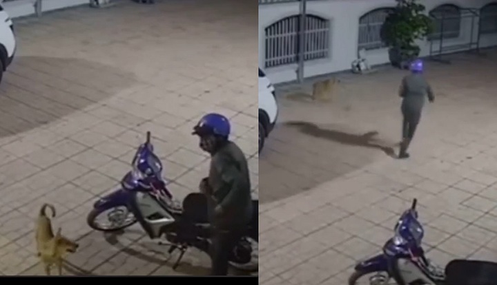Phát hiện kẻ lạ lẻn vào sân định trộm xe máy, chú chó có thái độ 