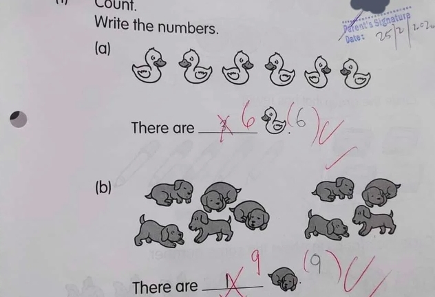 Bài toán tiểu học yêu cầu đếm vịt và chó khiến cộng đồng mạng tranh cãi