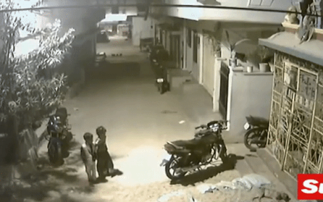 Đối đầu với đàn chó hoang, bé trai 5 tuổi không bỏ chạy mà có cách xử lý cực 