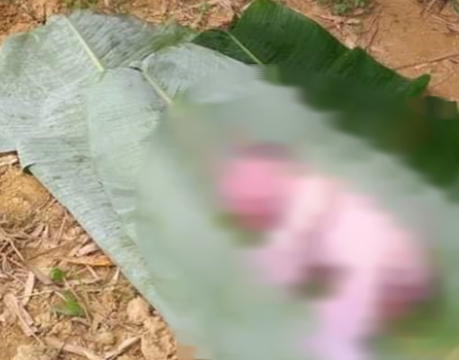 Phát hiện thi thể trẻ sơ sinh ở thềm nhà bếp của công an xã