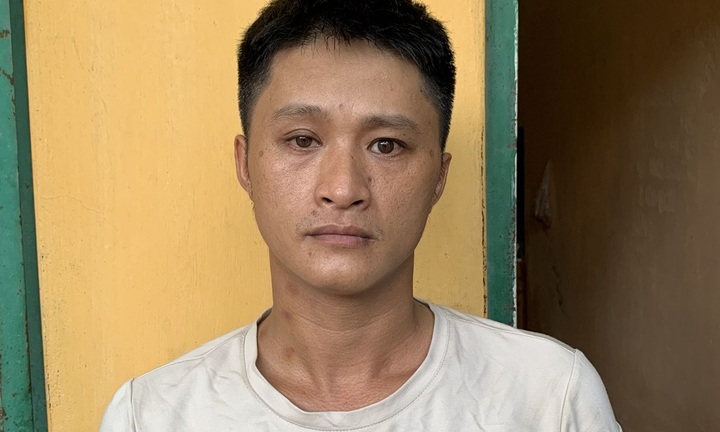 Tạm giữ đối tượng dẫn người mua đến vườn keo không phải của mình, lừa chiếm đoạt tiền cọc