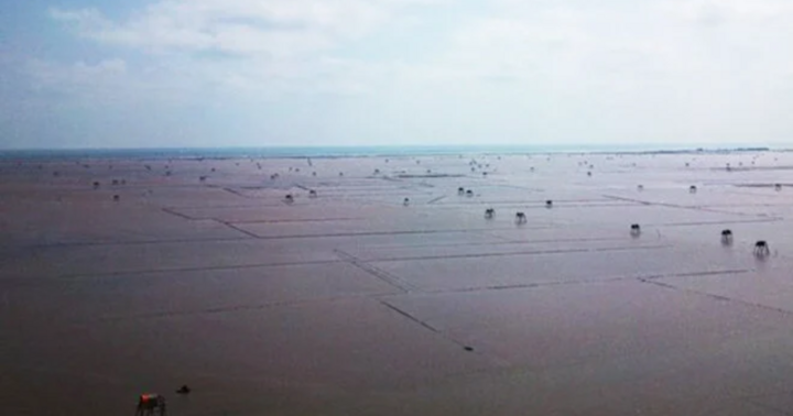 Tìm thấy 1 thi thể trong vụ 3 người mất tích khi đi bắt ngao ở Thái Bình