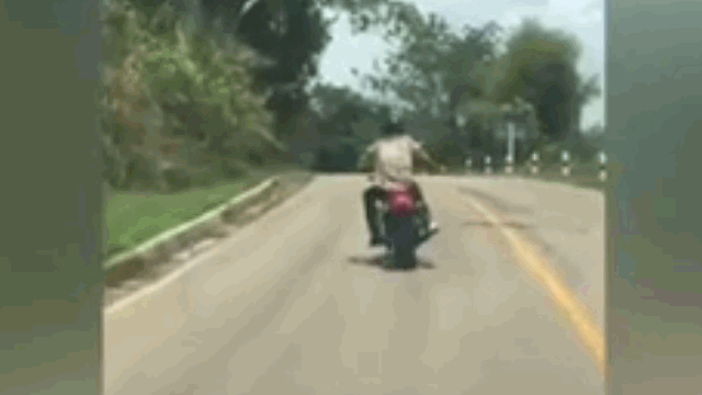 Video: Đang bò trên đường, rắn độc bất ngờ bay lê không trung đớp chân người đi xe máy