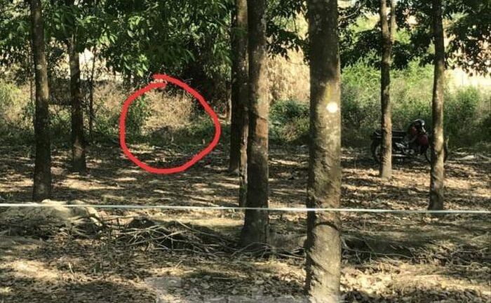 Vụ thi thể nam giới phân hủy trong rừng cao su: Chủ tịch xã nói gì?