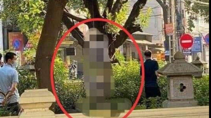Bàng hoàng phát hiện người đàn ông treo cổ trên cành cây tại sân đình ở Hà Nội