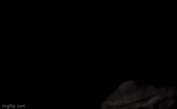 Cuộc chiến sinh tồn: Hổ mang chúa 