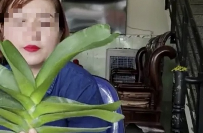 Một giáo viên ở Bình Định livestream mua, bán phong lan 26,5 tỉ đồng nhưng