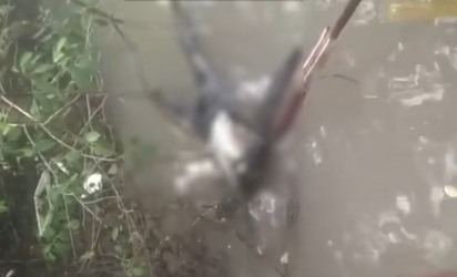 Kinh hãi phát hiện thi thể không đầu, mất 2 tay nổi trên mặt nước