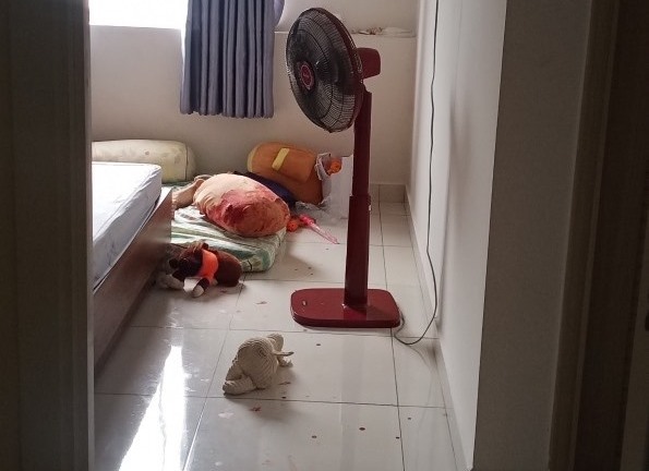 Bình Dương: Nghi vấn giết người rồi về nhà tự thiêu