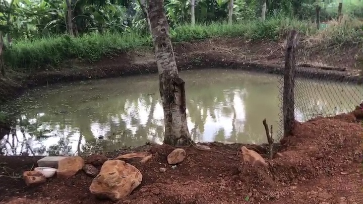 Đi làm vườn, người đàn ông vớt 3 thi thể cháu bé dưới ao sâu