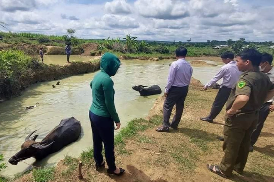 Xót xa phát hiện thi thể 2 chị em ruột dưới ao