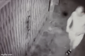 Nữ sinh viên kể về việc bị hàng xóm gửi thư 