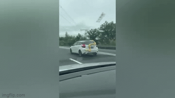 Video: Trăn khổng lồ Trung Quốc nằm trên nóc xe ô tô đang chạy tốc độ cao