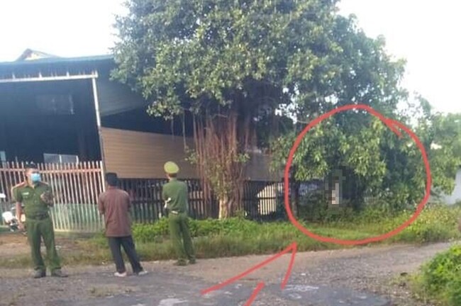 Vụ người đàn ông chết trong tư thế treo cổ trên cây: Lãnh đạo thị trấn tiết lộ bất ngờ