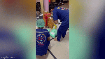 Video: Kinh hãi phát hiện rắn cạp nia cực độc trong bưu kiện