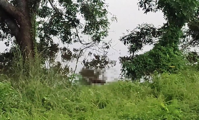 Đi câu cá, bàng hoàng phát hiện thi thể người đàn ông nổi trên đập nước