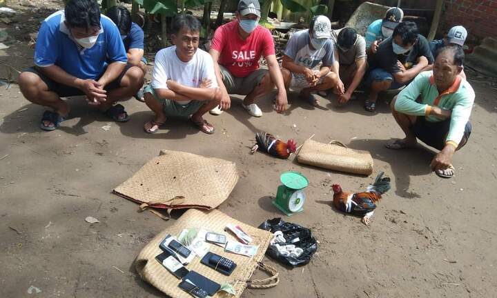 Triệt xóa 2 điểm đá gà, lắc tài xỉu ở Vĩnh Long