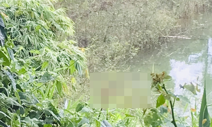 Vụ thi thể nữ giới nổi trên mặt hồ Hàm Thuận: Hiện trường có gì?