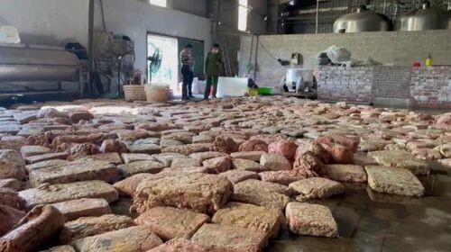 Phát hiện 12 tấn lòng lợn thối ở Quảng Ninh: Người Trung Quốc điều hành