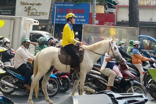 Cưỡi ngựa 