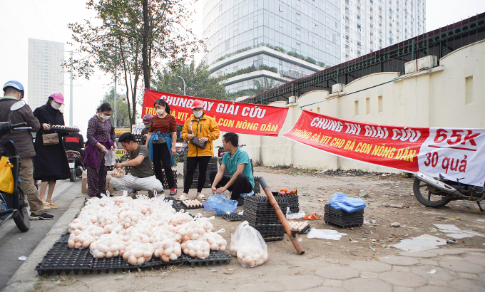 Đề nghị không mua trứng gia cầm bán 