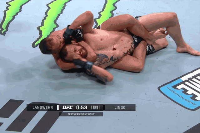 Video: Landwehr tung tuyệt chiêu 