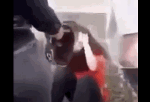 Vụ nữ sinh ở Đồng Nai đánh, bắt bạn quỳ: Nạn nhân van xin nhưng vẫn không tha