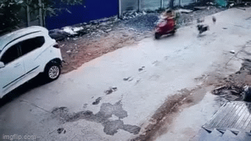 Video: Bị đàn chó hoang truy đuổi, xe máy kẹp 3 lao thẳng vào ô tô