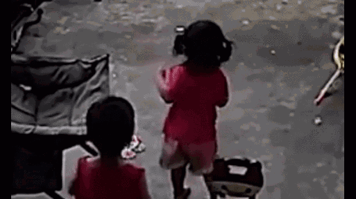 Video: Chạm mặt rắn hổ mang, bé gái sợ hãi bật khóc