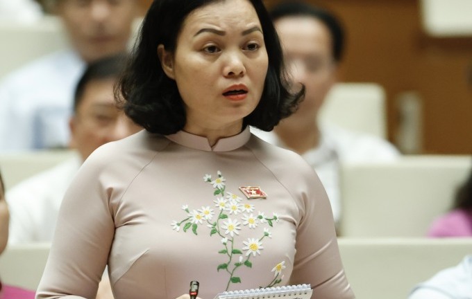 Đại biểu nêu ý kiến 