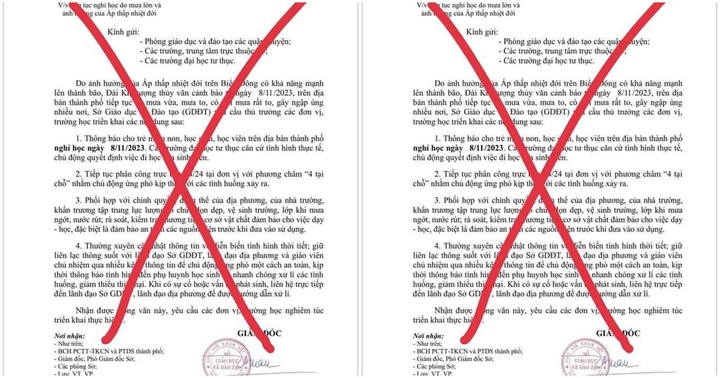 Lãnh đạo Sở GD&ĐT Đà Nẵng khẳng định văn bản cho học sinh nghỉ học ngày 8/11 là giả mạo