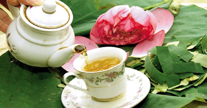 Trà lá sen tốt nhưng nhóm người này nên tránh xa kẻo rước họa vào thân
