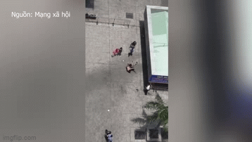 Vụ clip bảo vệ đánh nhau loạn xạ với cư dân chung cư: Hiểu nhầm chó bị đem đi giết thịt?