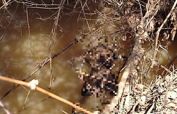 Đi hái măng, kinh hãi khi phát hiện thi thể đang phân hủy dưới sông: Hiện trường có gì?