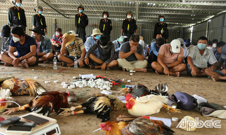 Cảnh sát đột kích trường gà