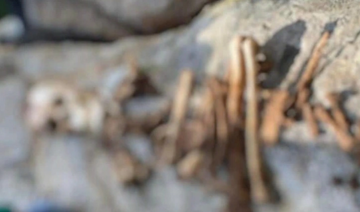 Phát hiện thi thể đã phân hủy, chỉ còn bộ xương trên núi Bồ Đề