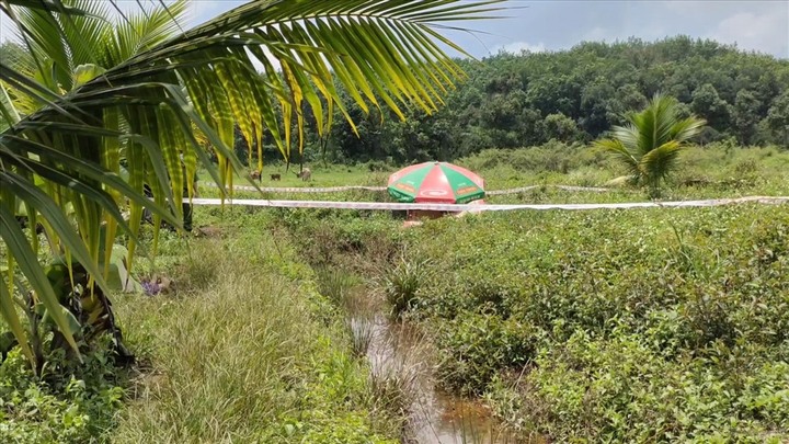 Người đàn ông 60 tuổi bị hàng xóm chém nhiều nhát, tử vong tại chỗ